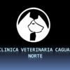 Clínica Veterinaria Caguas Norte